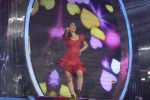 Sophie Choudry at the grand finale of Jhalak Dikhhla Jaa in Filmistan, Mumbai on 18th Sept 2014